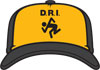 D.R.I. "skanker" yellow and black mesh hat